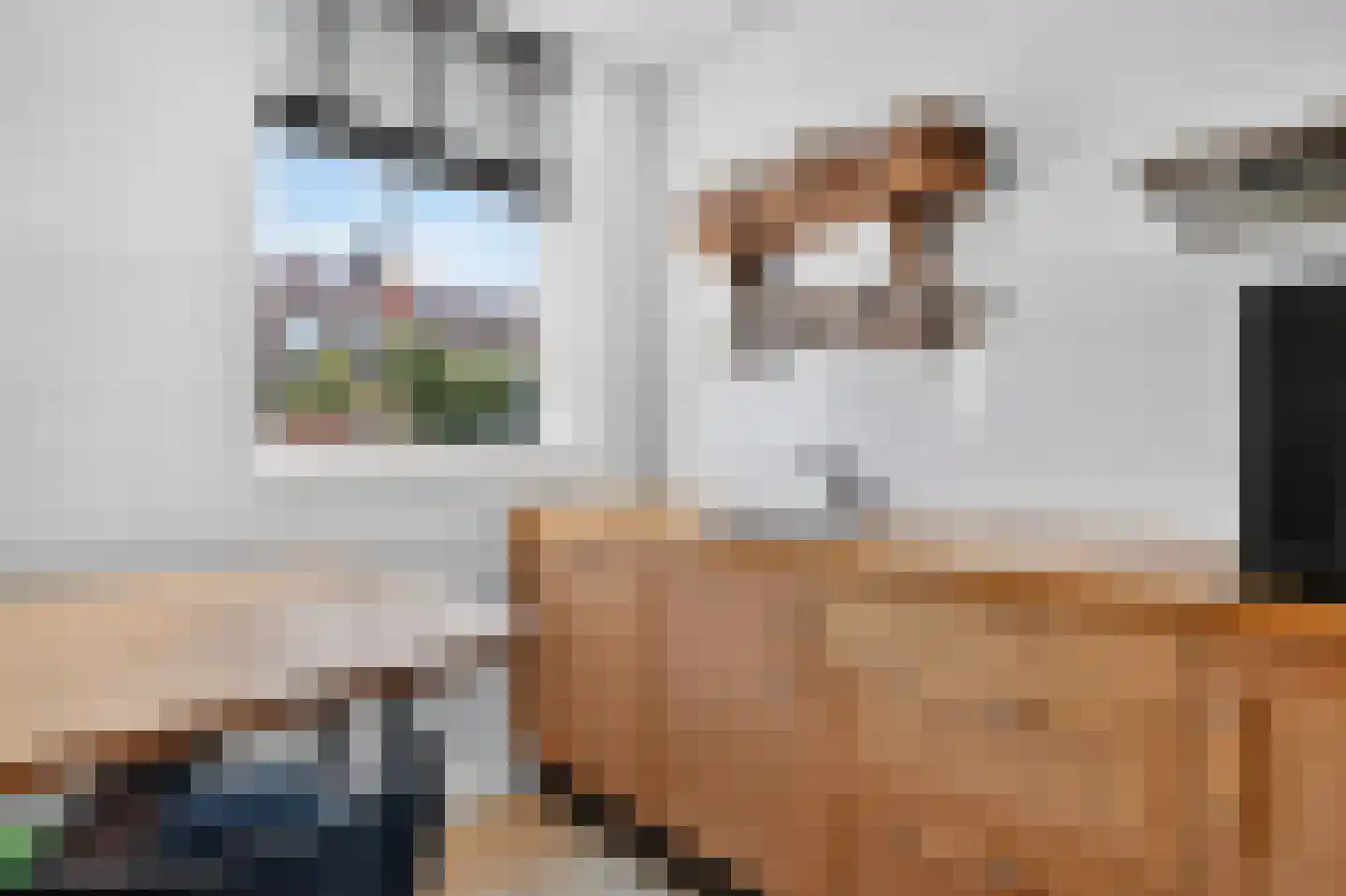 Fred. Thomasstraat 18 Amsterdam thumbnail 13