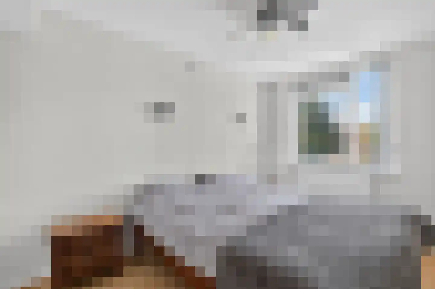 Fred. Thomasstraat 18 Amsterdam thumbnail 18