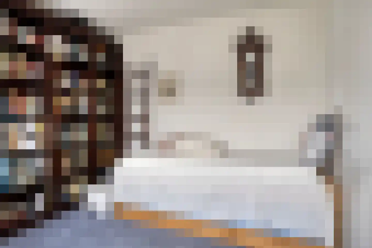 Freddie Mercuryhof 2 Goes thumbnail 28