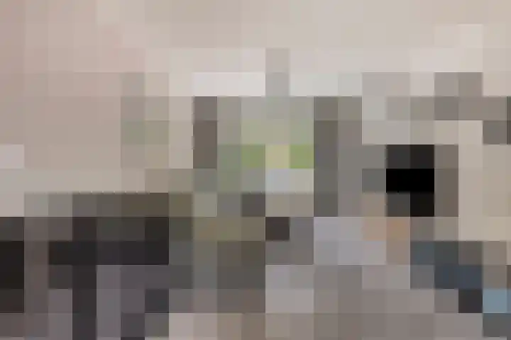 Fréderic de Ramlaan 10 Halsteren thumbnail 10