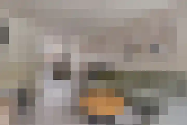 Fréderic de Ramlaan 10 Halsteren thumbnail 11