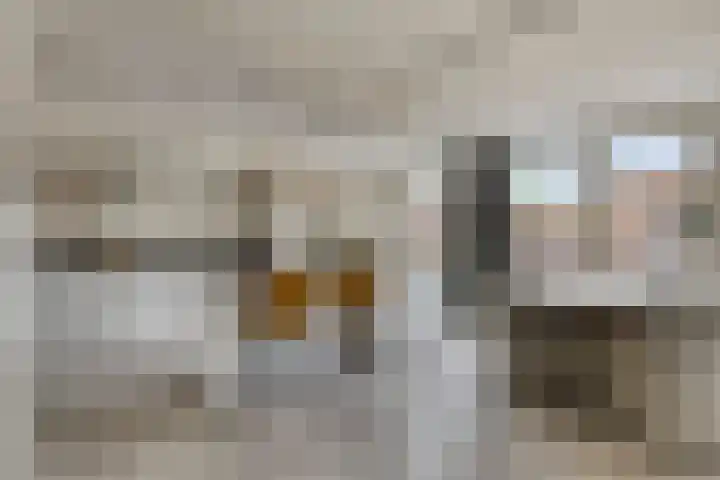 Fréderic de Ramlaan 10 Halsteren thumbnail 14