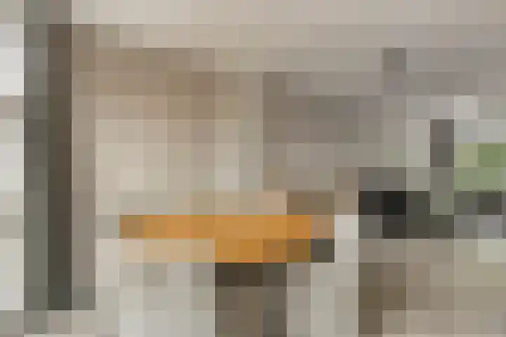 Fréderic de Ramlaan 10 Halsteren thumbnail 15
