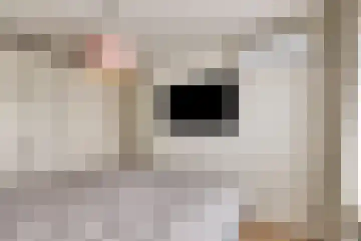 Fréderic de Ramlaan 10 Halsteren thumbnail 19