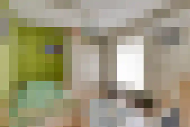 Fréderic de Ramlaan 10 Halsteren thumbnail 20