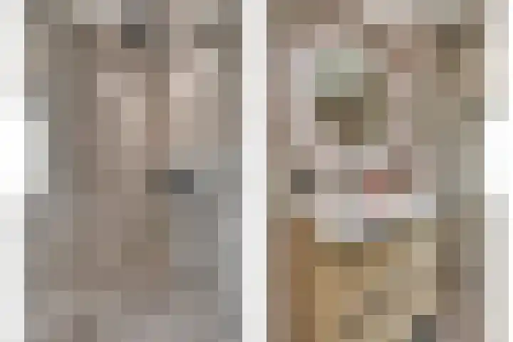 Fréderic de Ramlaan 10 Halsteren thumbnail 22