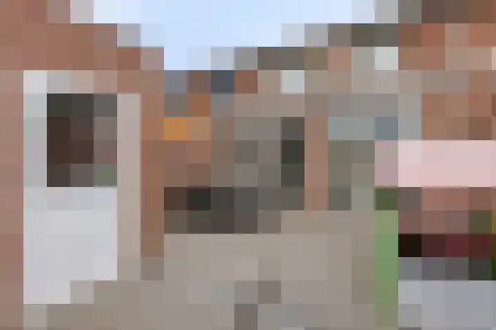 Fréderic de Ramlaan 10 Halsteren thumbnail 27