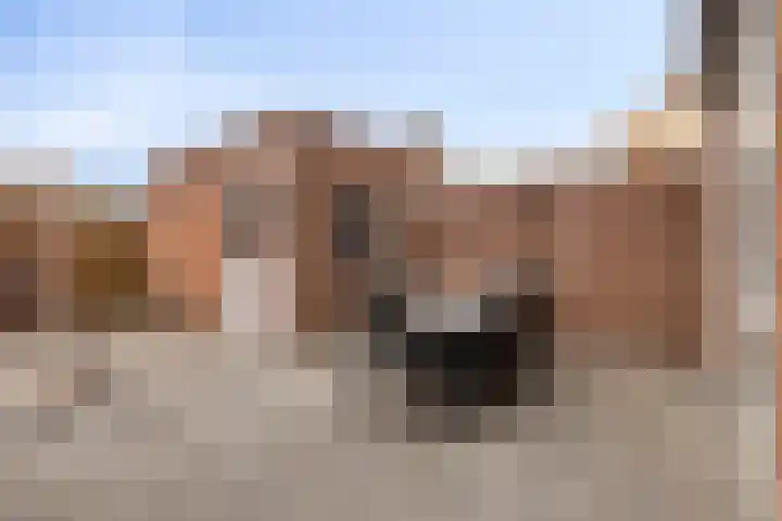 Fréderic de Ramlaan 10 Halsteren thumbnail 29