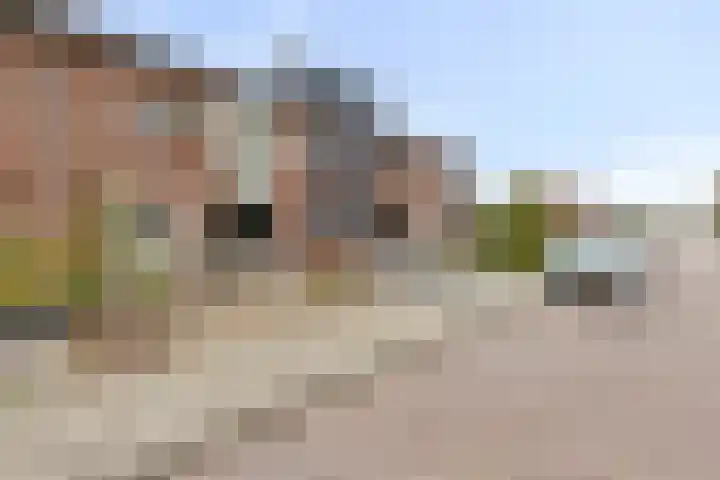 Fréderic de Ramlaan 10 Halsteren thumbnail 30