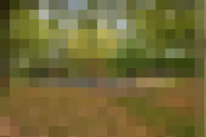 Fréderic de Ramlaan 10 Halsteren thumbnail 33