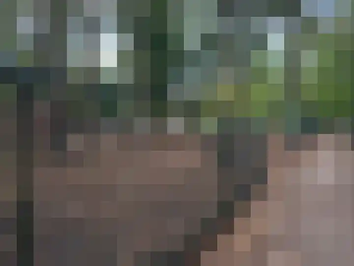 Fréderic de Ramlaan 10 Halsteren thumbnail 34