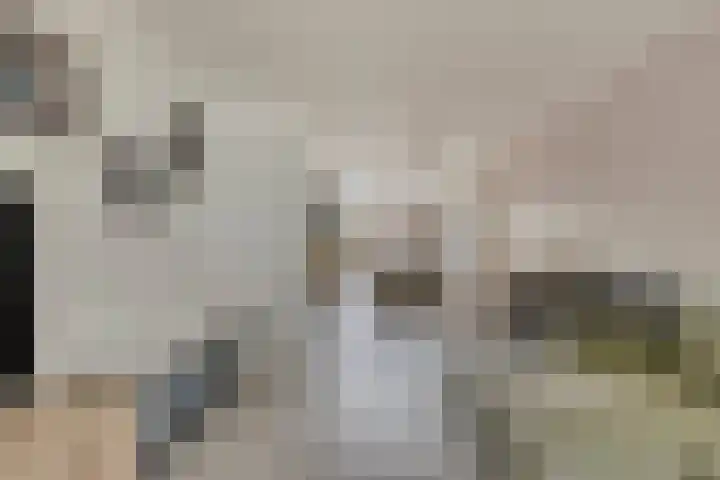 Fréderic de Ramlaan 10 Halsteren thumbnail 4