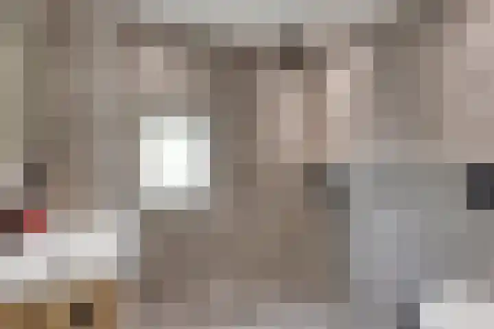 Fréderic de Ramlaan 10 Halsteren thumbnail 6