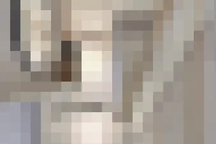 Fréderic de Ramlaan 10 Halsteren thumbnail 8
