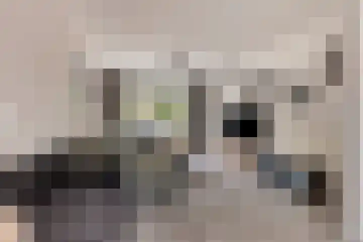 Fréderic de Ramlaan 10 Halsteren thumbnail 9
