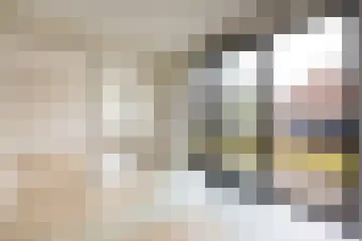 Fréderic de Ramlaan 26 Halsteren thumbnail 12