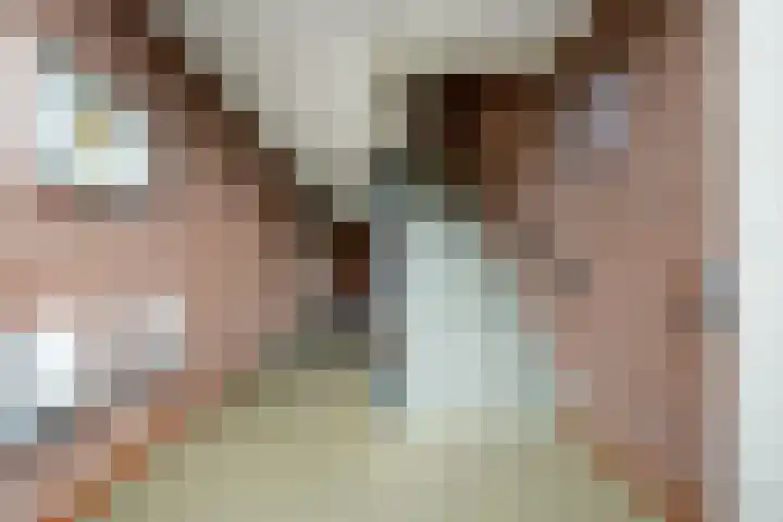 Fréderic de Ramlaan 26 Halsteren thumbnail 24