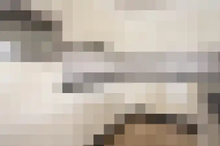 Fréderic de Ramlaan 26 Halsteren thumbnail 8