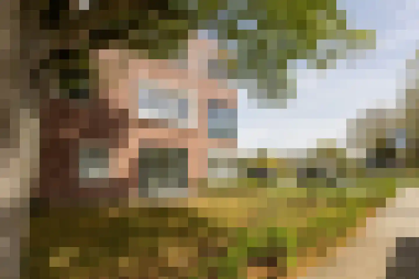 Fréderic de Ramlaan 34 Halsteren thumbnail 45