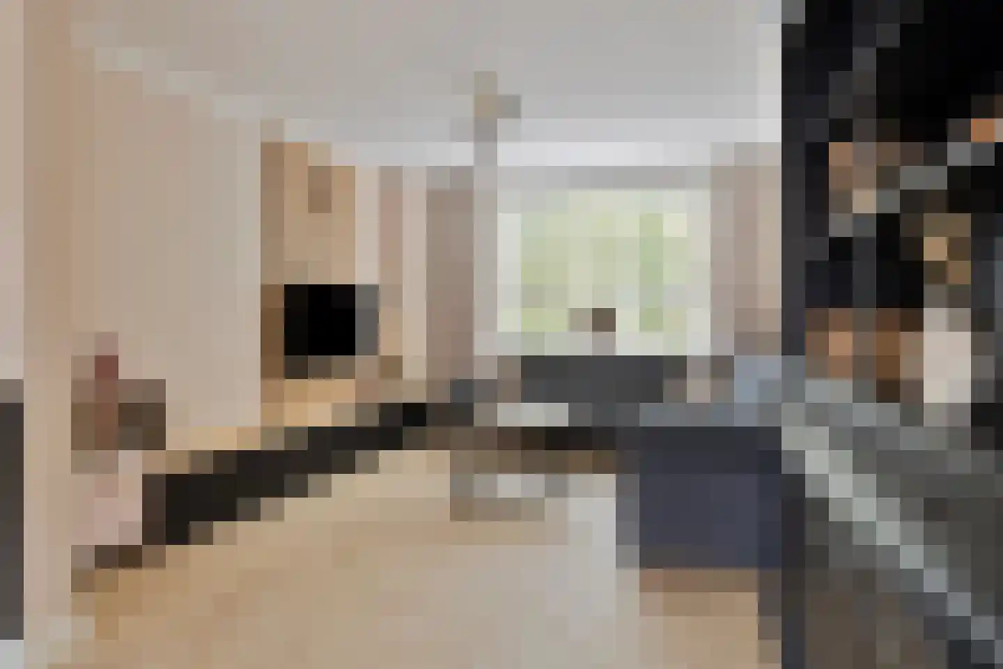 Fréderic de Ramlaan 9 Halsteren thumbnail 10