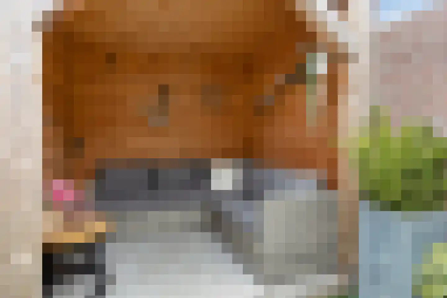 Fréderic de Ramlaan 9 Halsteren thumbnail 33