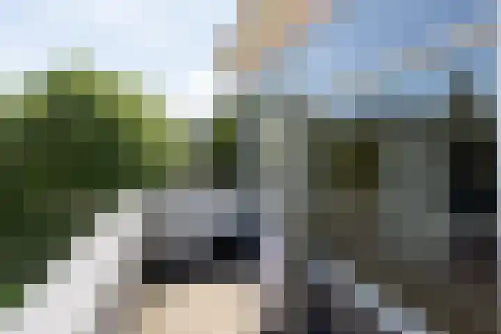 Frederica Zeijdelaarweg 10 Weesp thumbnail 36