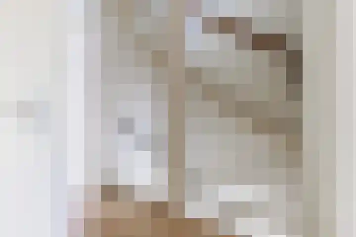 Frederica Zeijdelaarweg 18 Weesp thumbnail 34