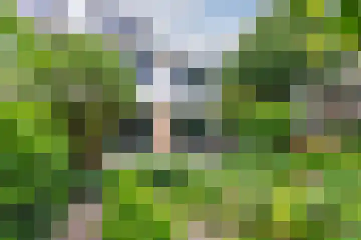Frederica Zeijdelaarweg 18 Weesp thumbnail 44