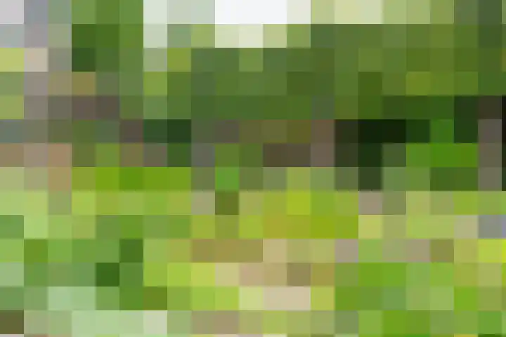 Frederica Zeijdelaarweg 18 Weesp thumbnail 48