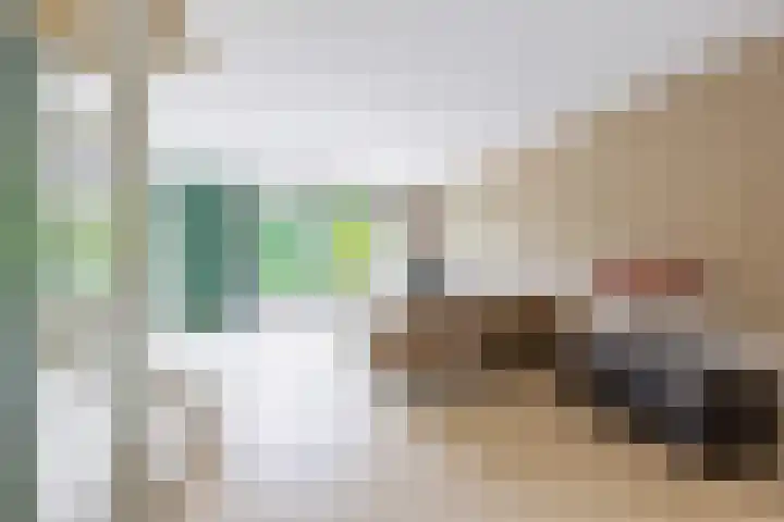 Frederica Zeijdelaarweg 18 Weesp thumbnail 8