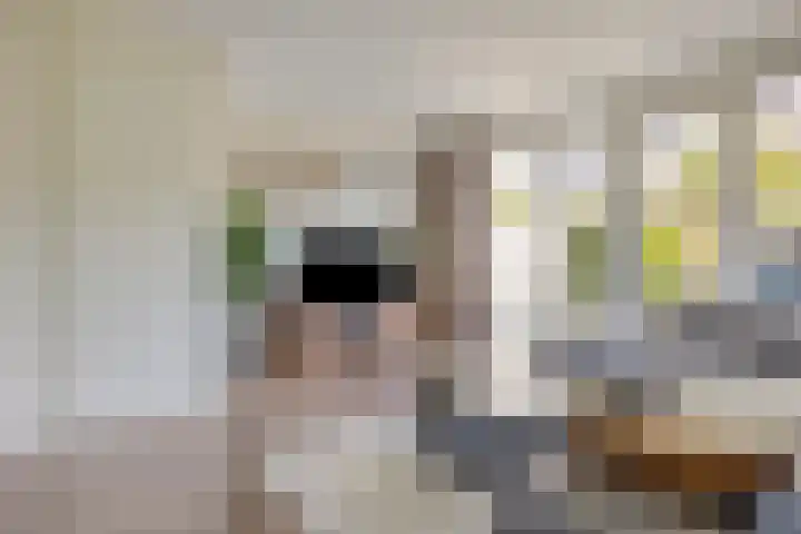 Frederik Hendrik wal 3 Geertruidenberg thumbnail 6