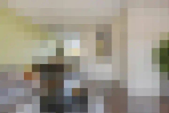 Frederik Hendrik wal 3 Geertruidenberg thumbnail 8