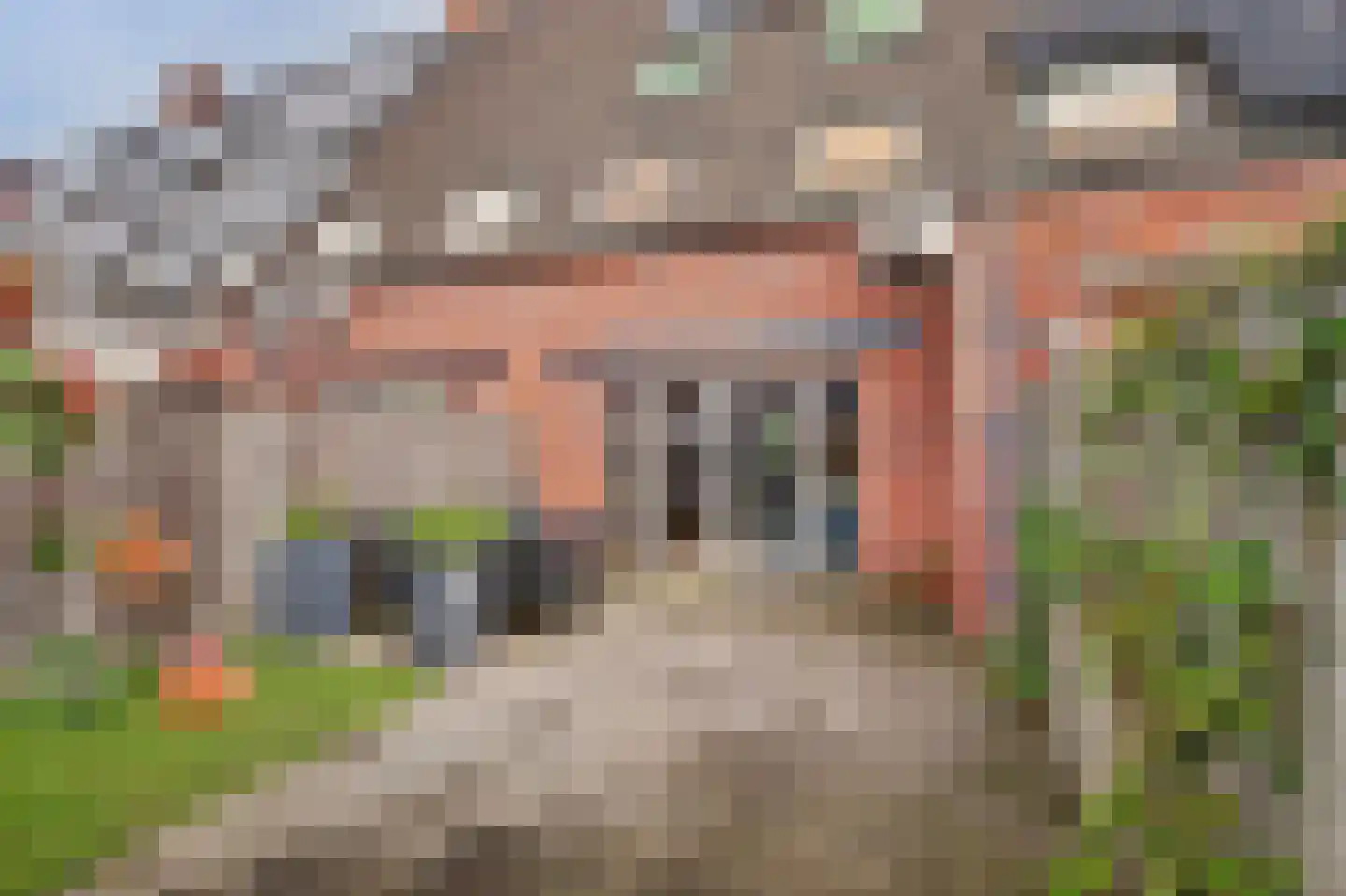 Frederik Hendrik wal 63 Geertruidenberg thumbnail 7