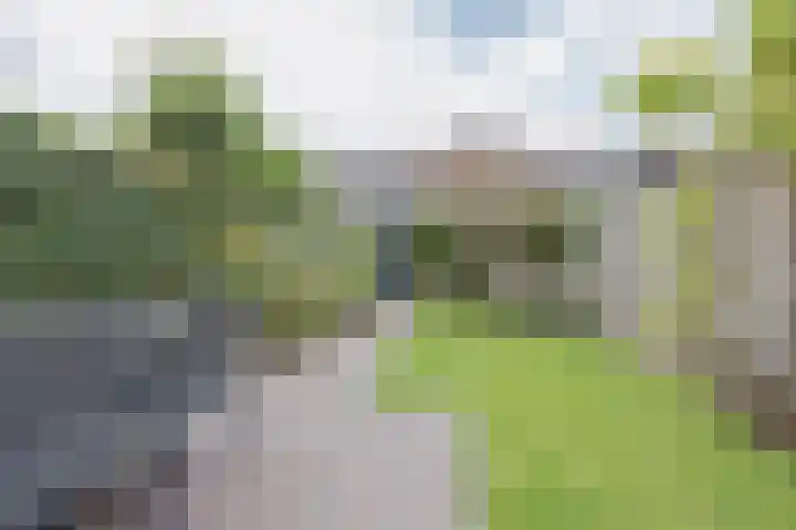 Frederik Hendrik wal 77 Geertruidenberg thumbnail 35