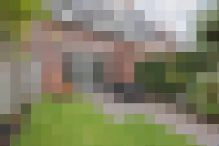 Frederik Hendrik wal 77 Geertruidenberg thumbnail 37