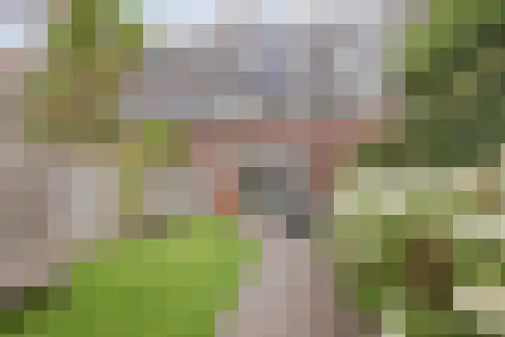 Frederik Hendrik wal 77 Geertruidenberg thumbnail 39