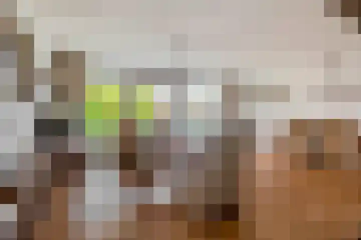 Frederik Hendrikhof 17 Waalwijk thumbnail 7