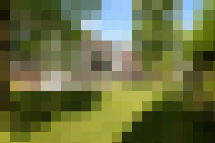 Frederik Hendrikhof 33 Waalwijk thumbnail 23