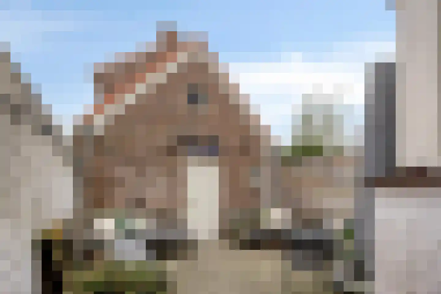 Frederik Hendriklaan 100 's-Hertogenbosch thumbnail 31