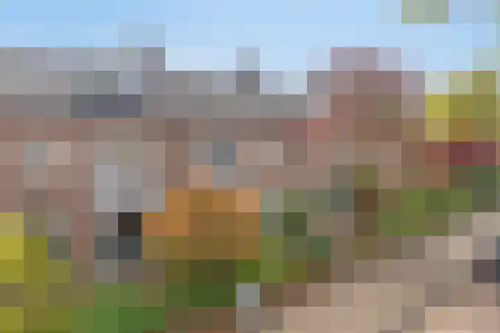 Frederik Hendriklaan 103 's-Hertogenbosch thumbnail 47