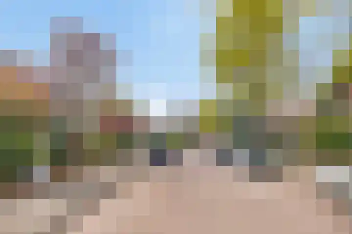 Frederik Hendriklaan 103 's-Hertogenbosch thumbnail 5
