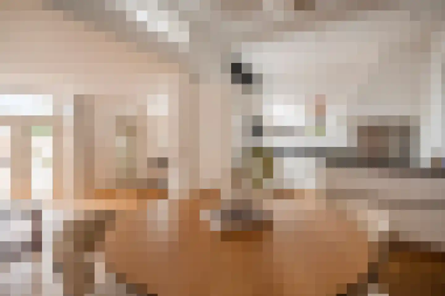 Frederik Hendriklaan 105 Den Haag thumbnail 19