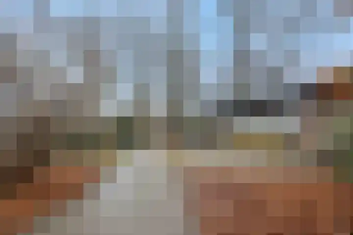 Frederik Hendriklaan 118 's-Hertogenbosch thumbnail 33