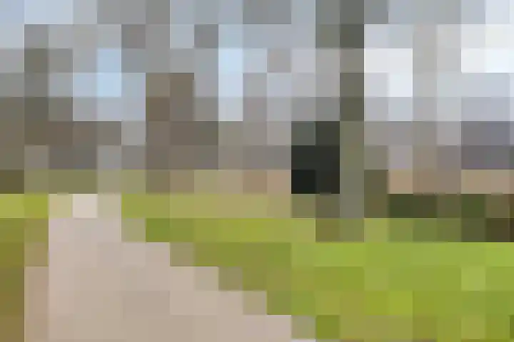 Frederik Hendriklaan 119 's-Hertogenbosch thumbnail 26