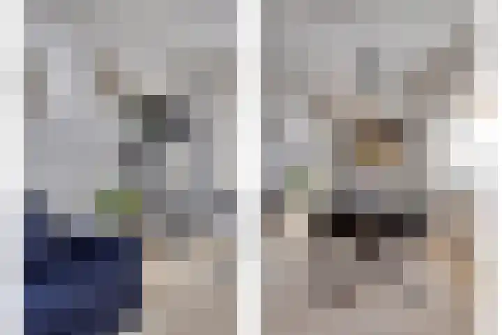 Frederik Hendriklaan 12 Hulst thumbnail 10