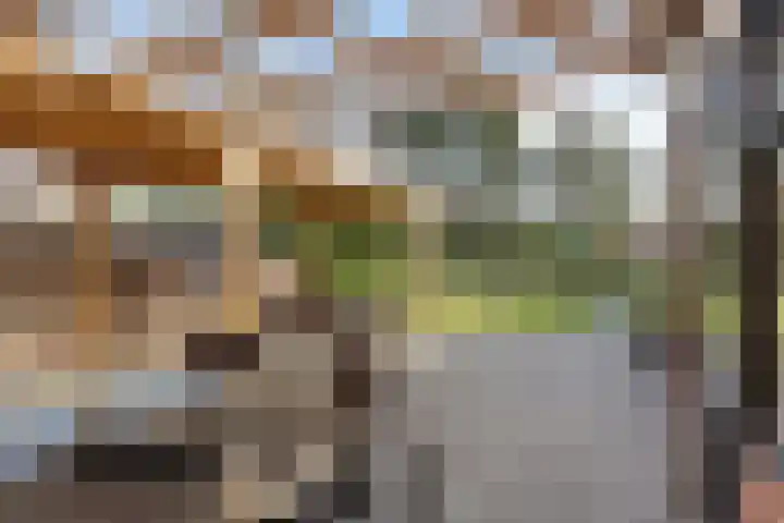 Frederik Hendriklaan 12 Hulst thumbnail 22