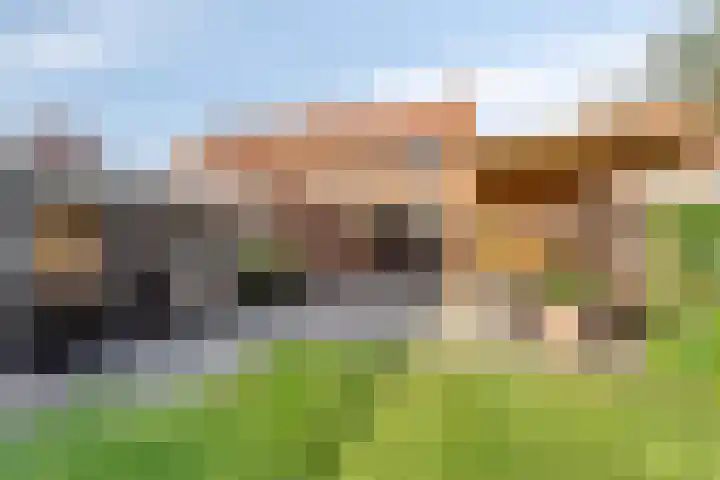 Frederik Hendriklaan 12 Hulst thumbnail 23