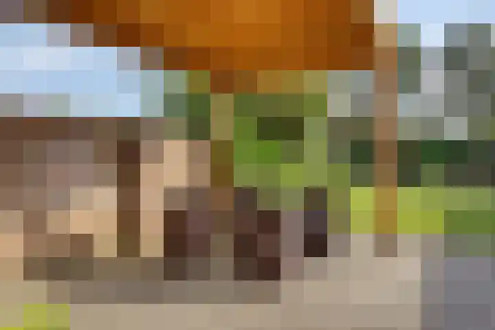 Frederik Hendriklaan 12 Hulst thumbnail 25