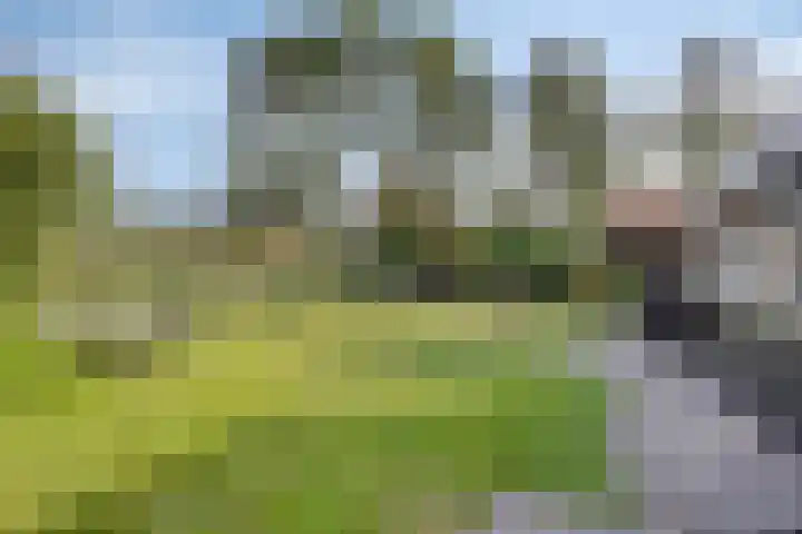 Frederik Hendriklaan 12 Hulst thumbnail 26
