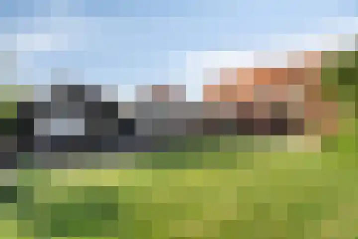 Frederik Hendriklaan 12 Hulst thumbnail 27